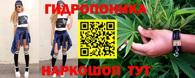 прущие грибы Ставрополь
