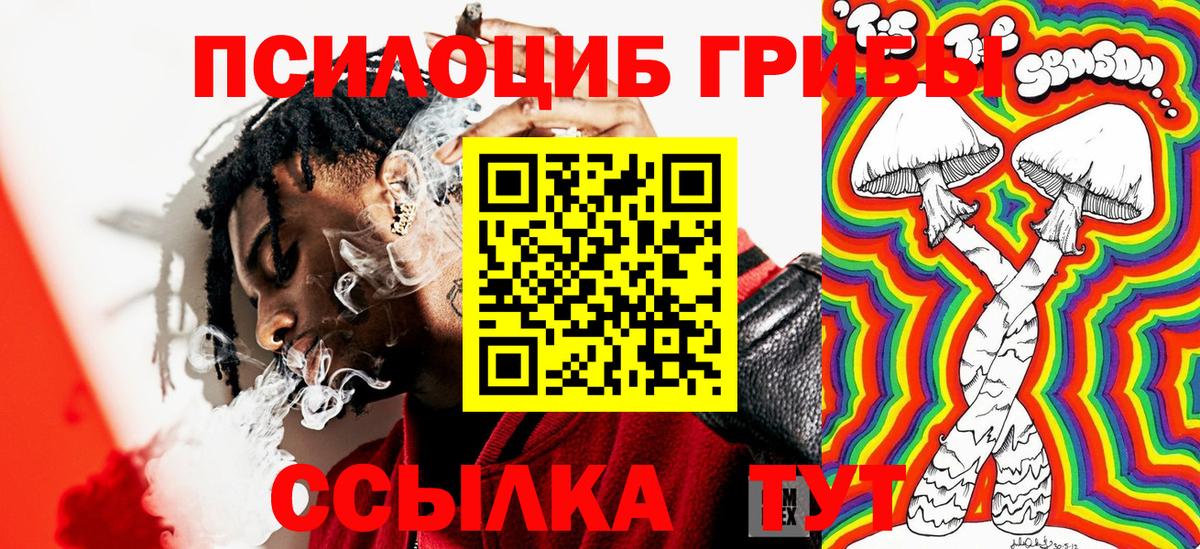 Галлюциногенные грибы Psilocybe  Вход с VPN  Волжск 